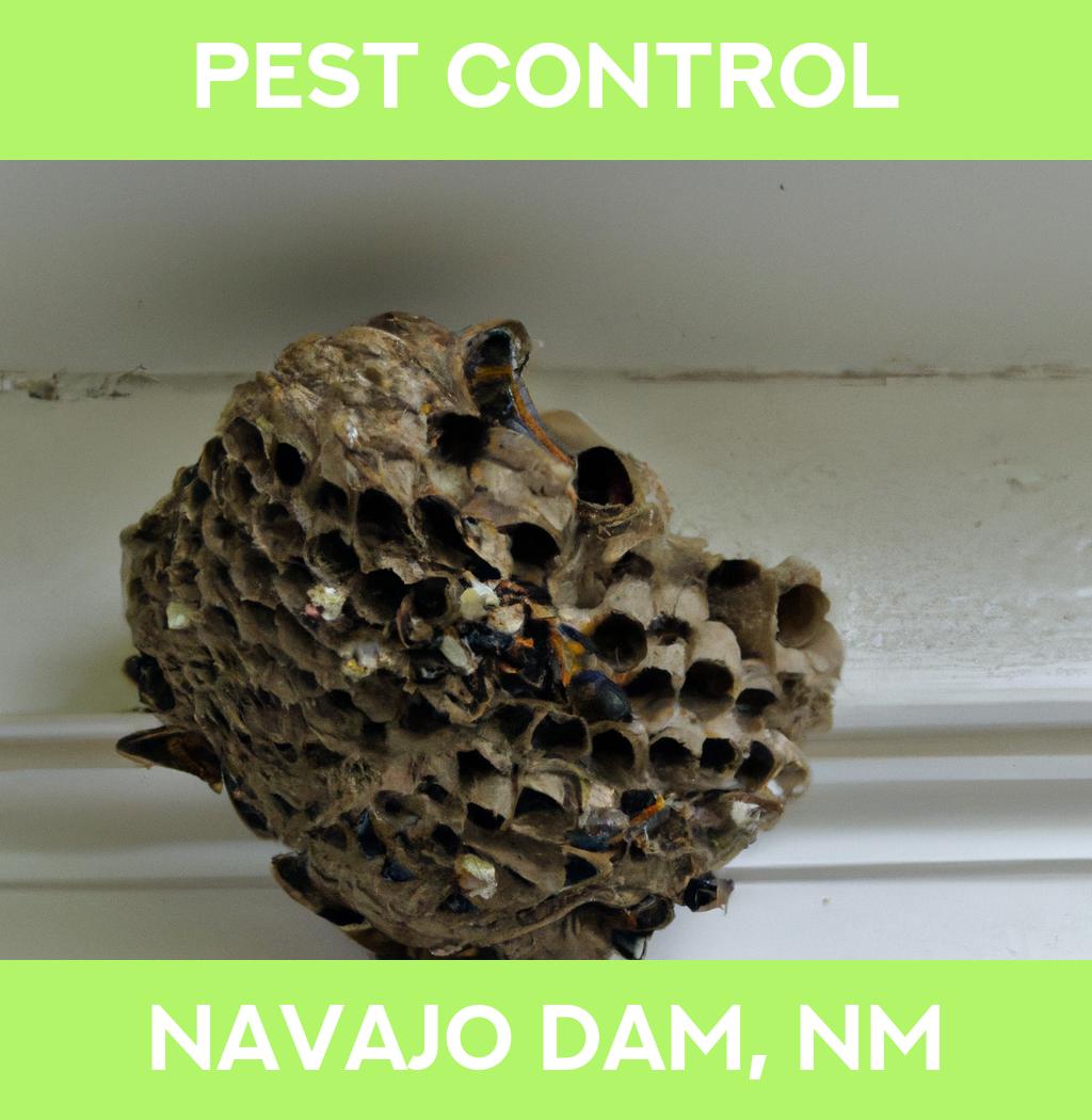 pest control in Navajo Dam New Mexico
