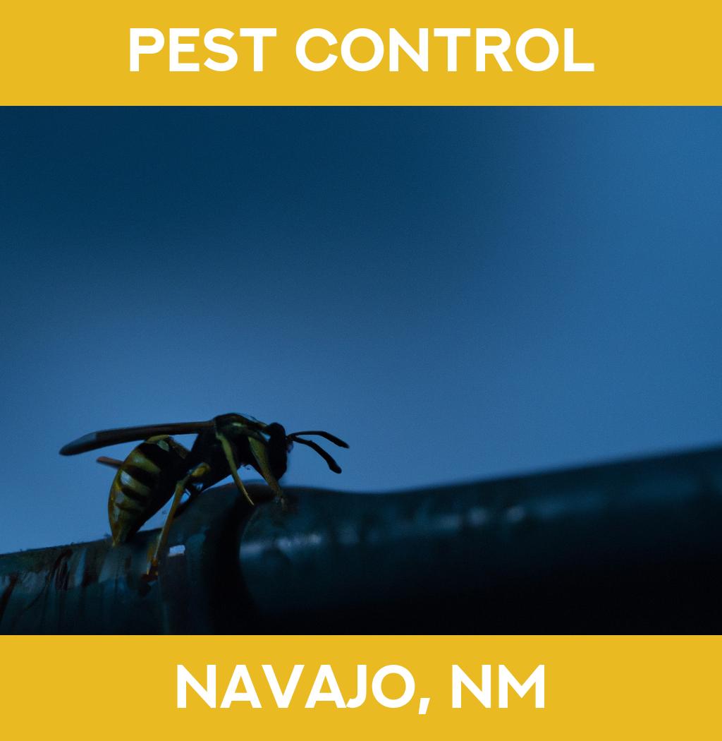 pest control in Navajo New Mexico