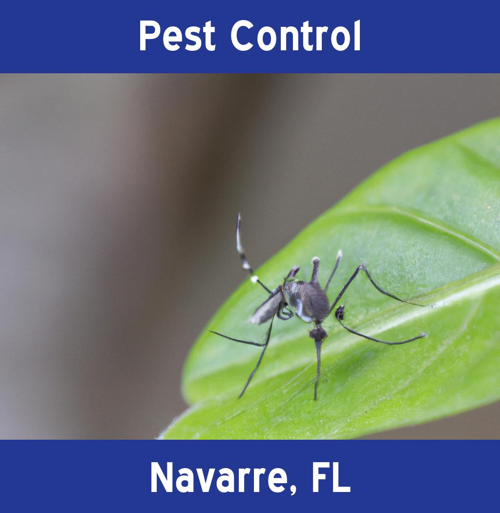 pest control in Navarre Florida