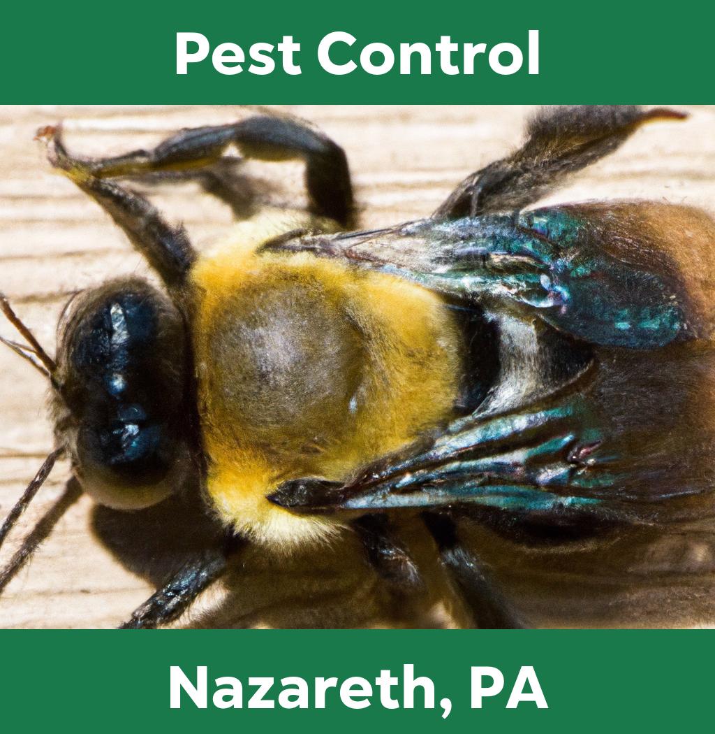pest control in Nazareth Pennsylvania