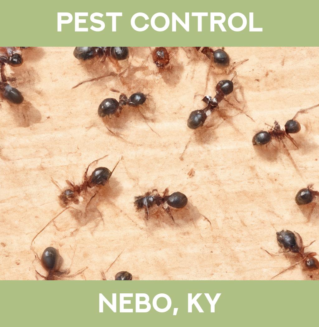 pest control in Nebo Kentucky