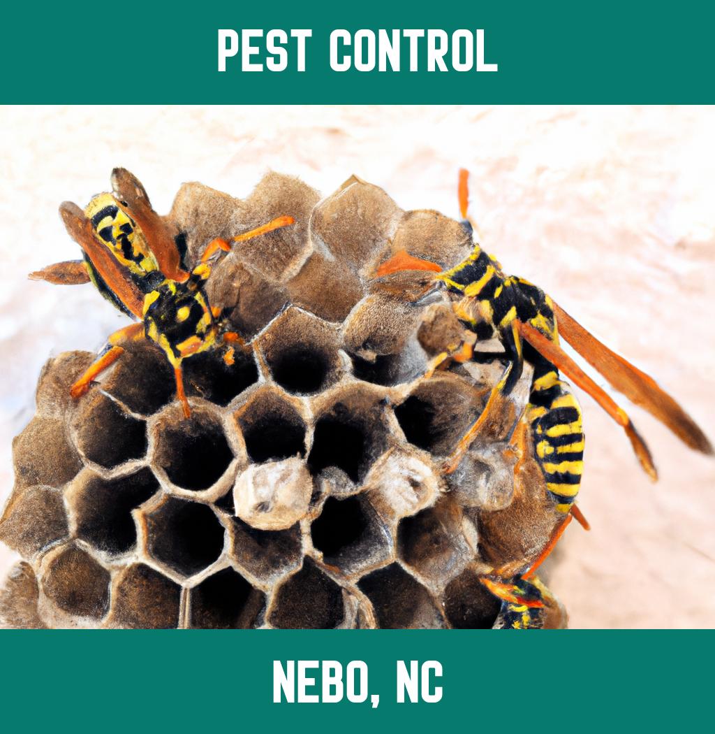 pest control in Nebo North Carolina