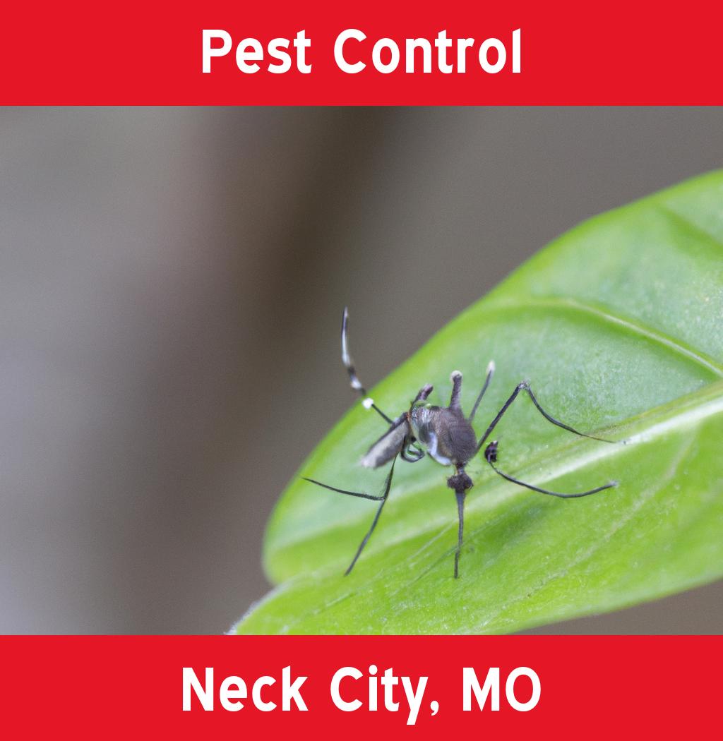 pest control in Neck City Missouri