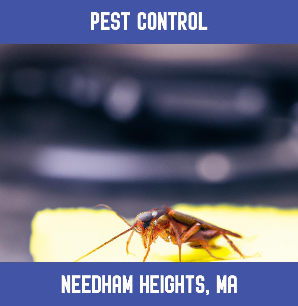pest control in Needham Heights Massachusetts