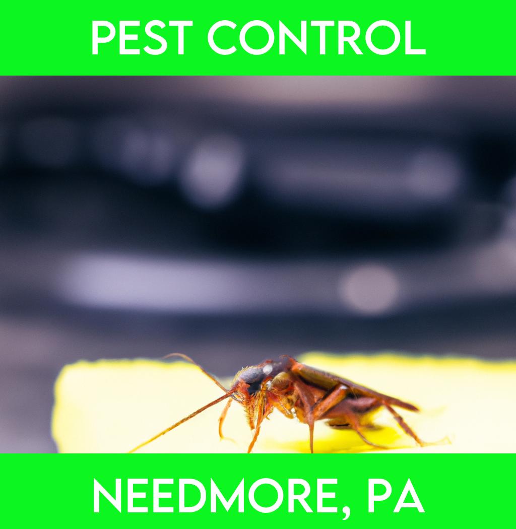 pest control in Needmore Pennsylvania