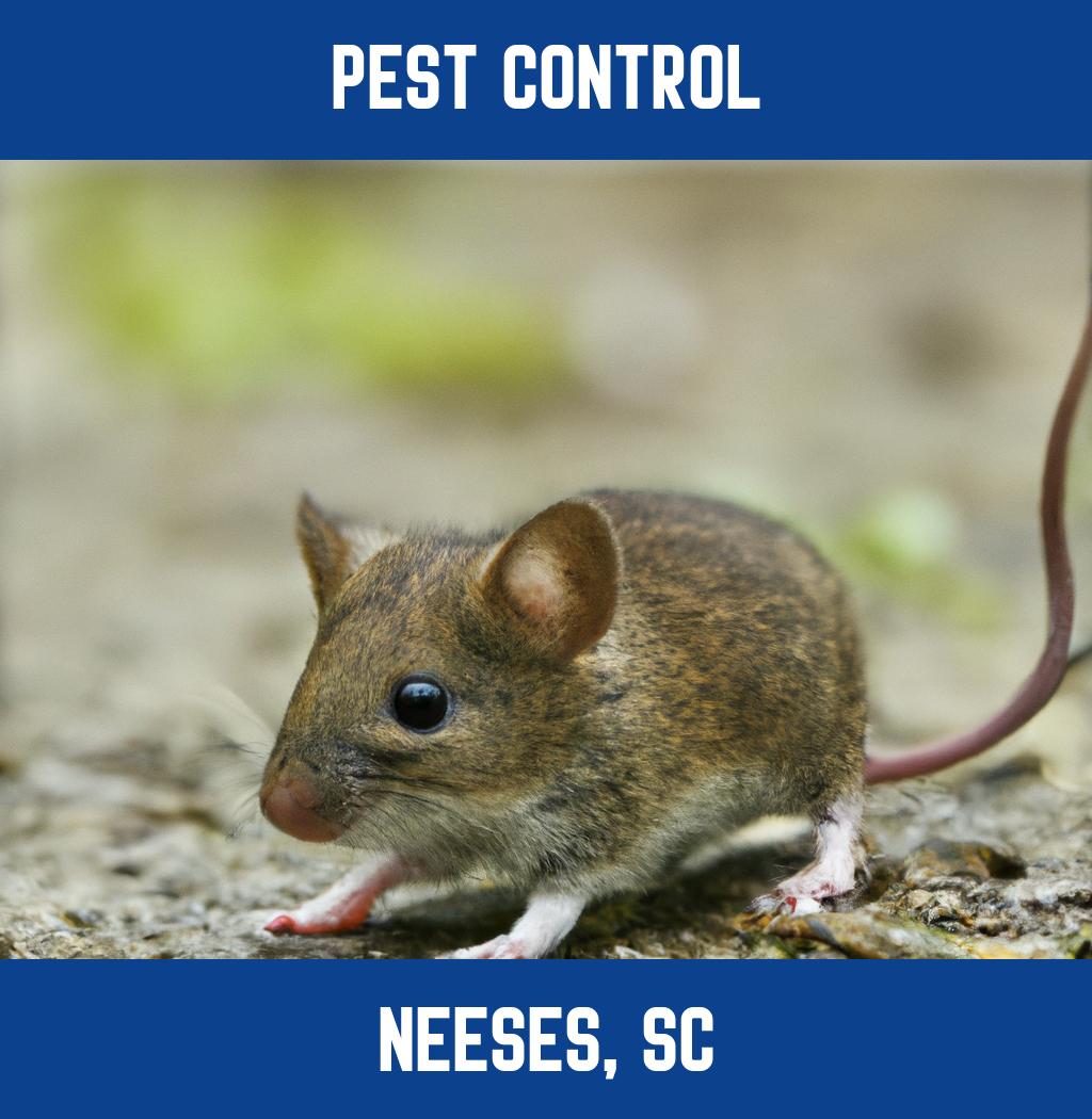 pest control in Neeses South Carolina