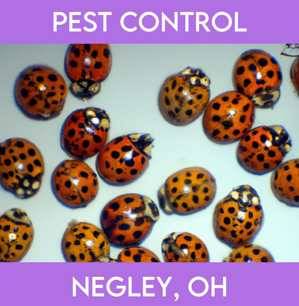 pest control in Negley Ohio