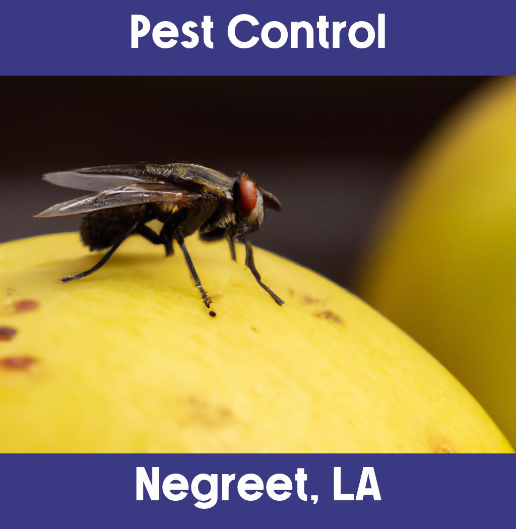 pest control in Negreet Louisiana