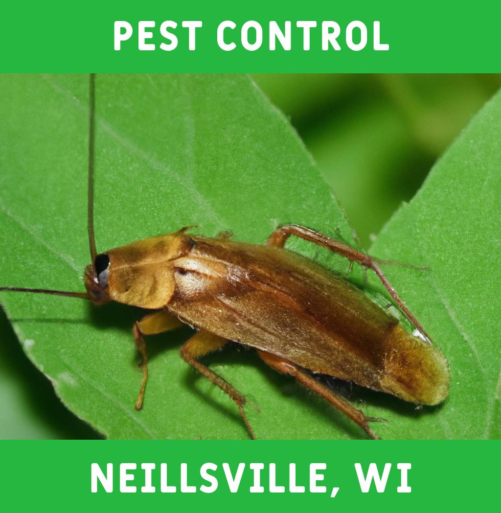 pest control in Neillsville Wisconsin
