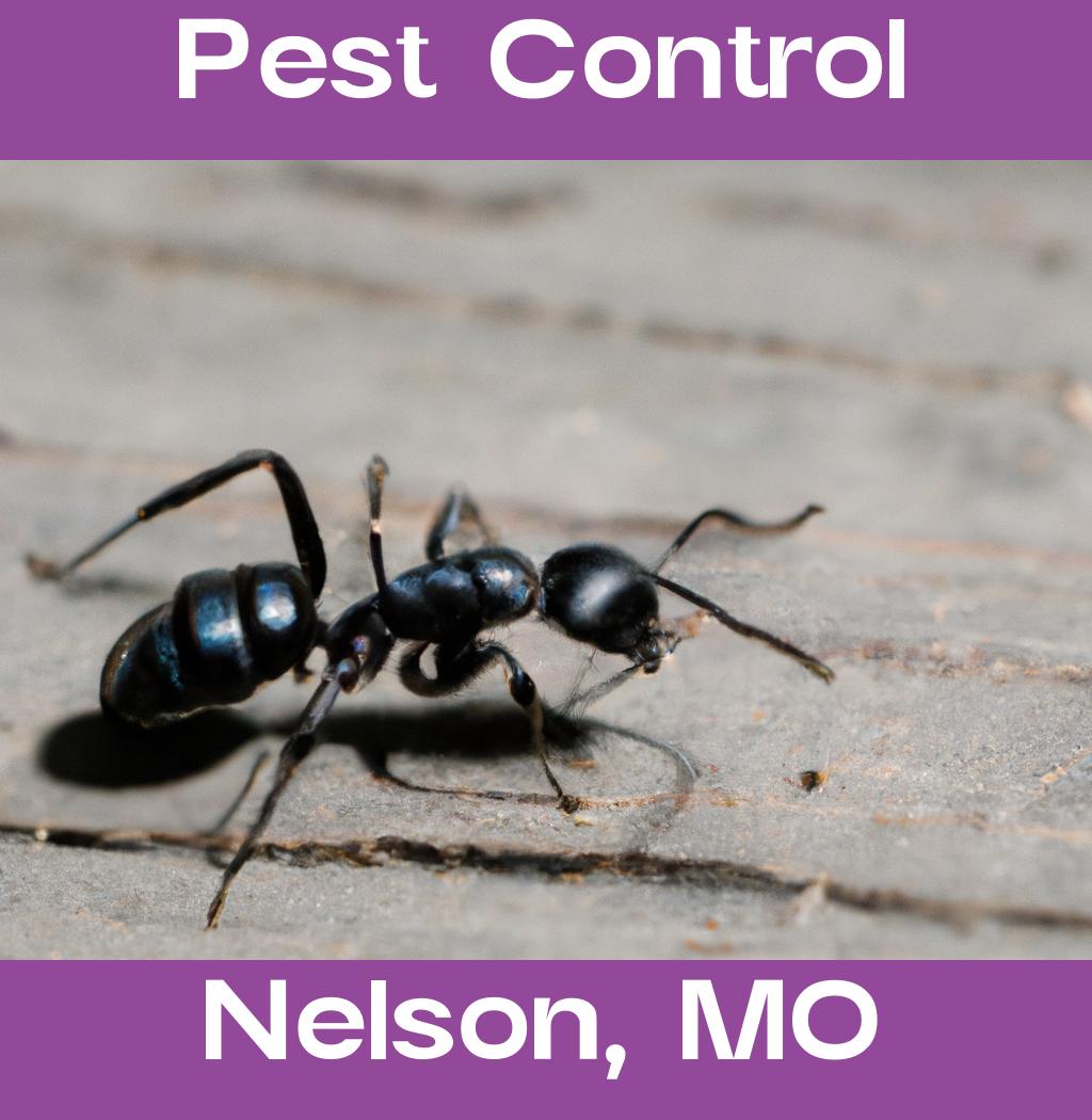 pest control in Nelson Missouri