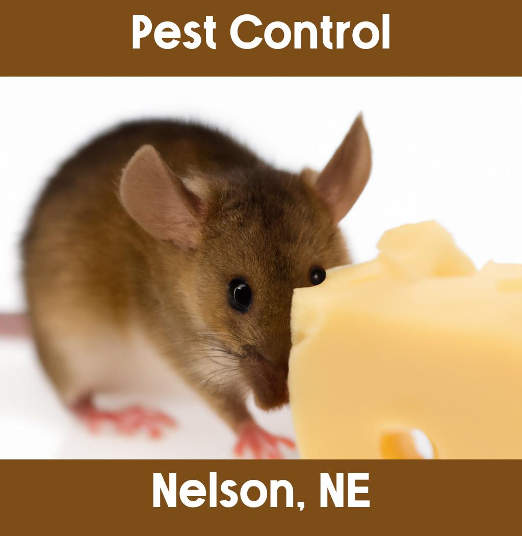 pest control in Nelson Nebraska