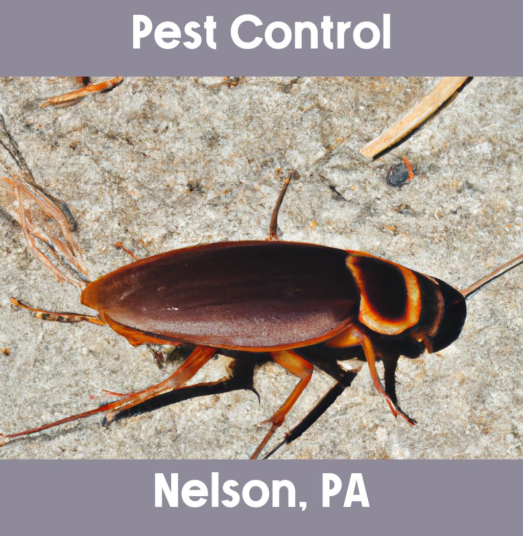 pest control in Nelson Pennsylvania