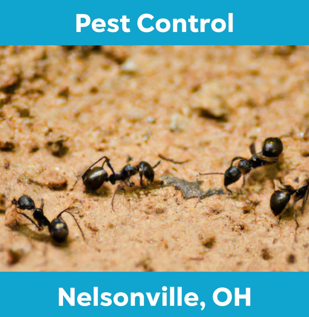 pest control in Nelsonville Ohio