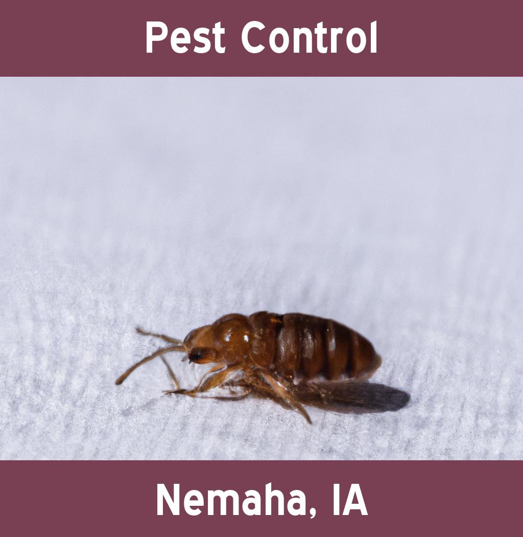 pest control in Nemaha Iowa