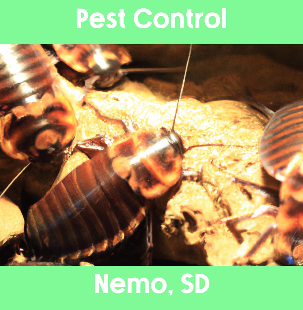 pest control in Nemo South Dakota