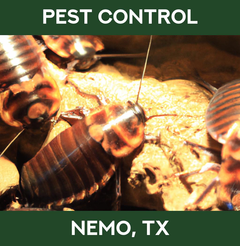 pest control in Nemo Texas