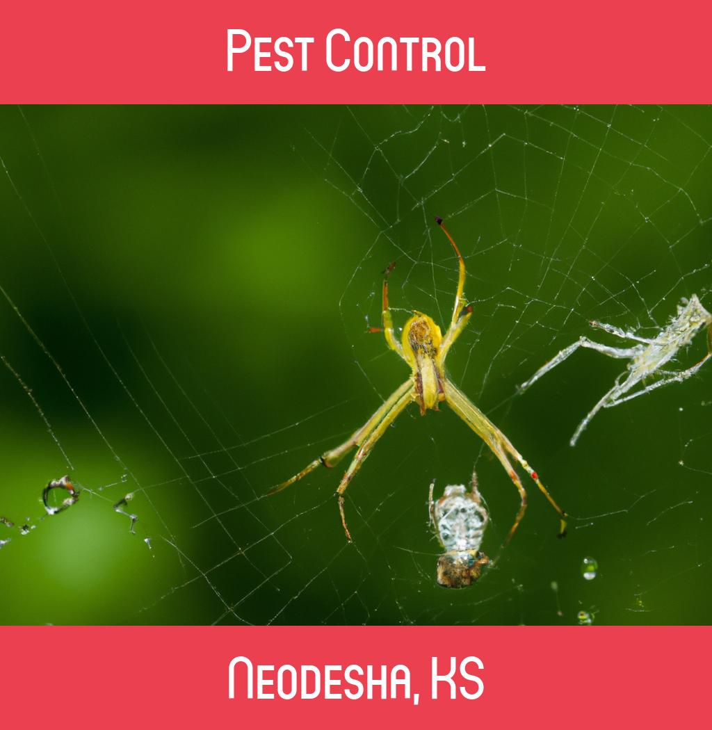 pest control in Neodesha Kansas