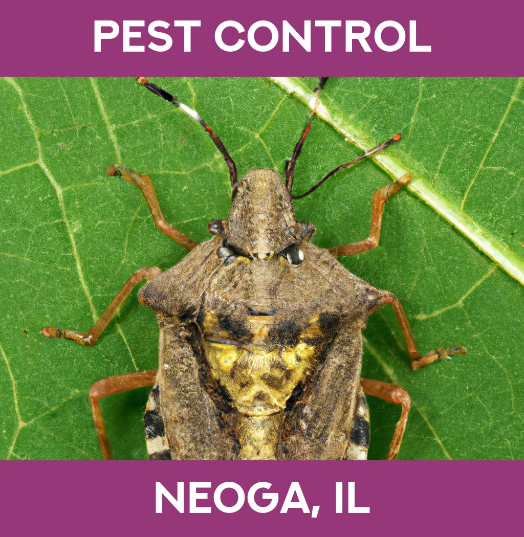 pest control in Neoga Illinois