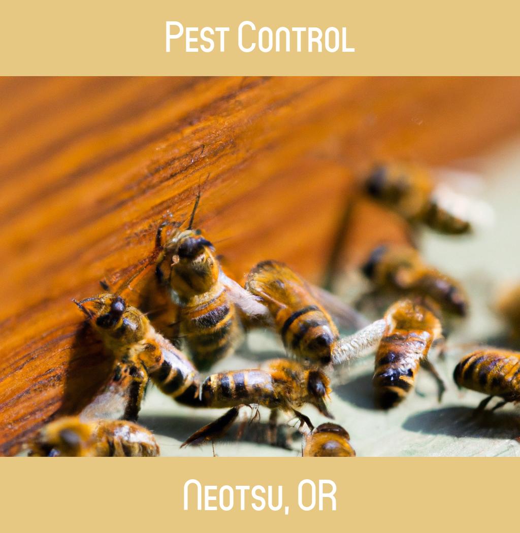 pest control in Neotsu Oregon