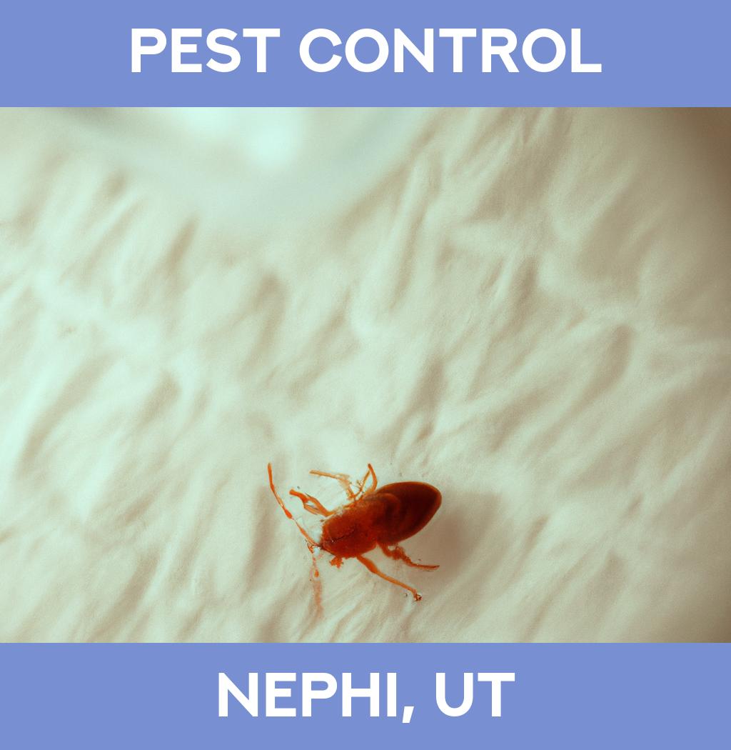 pest control in Nephi Utah