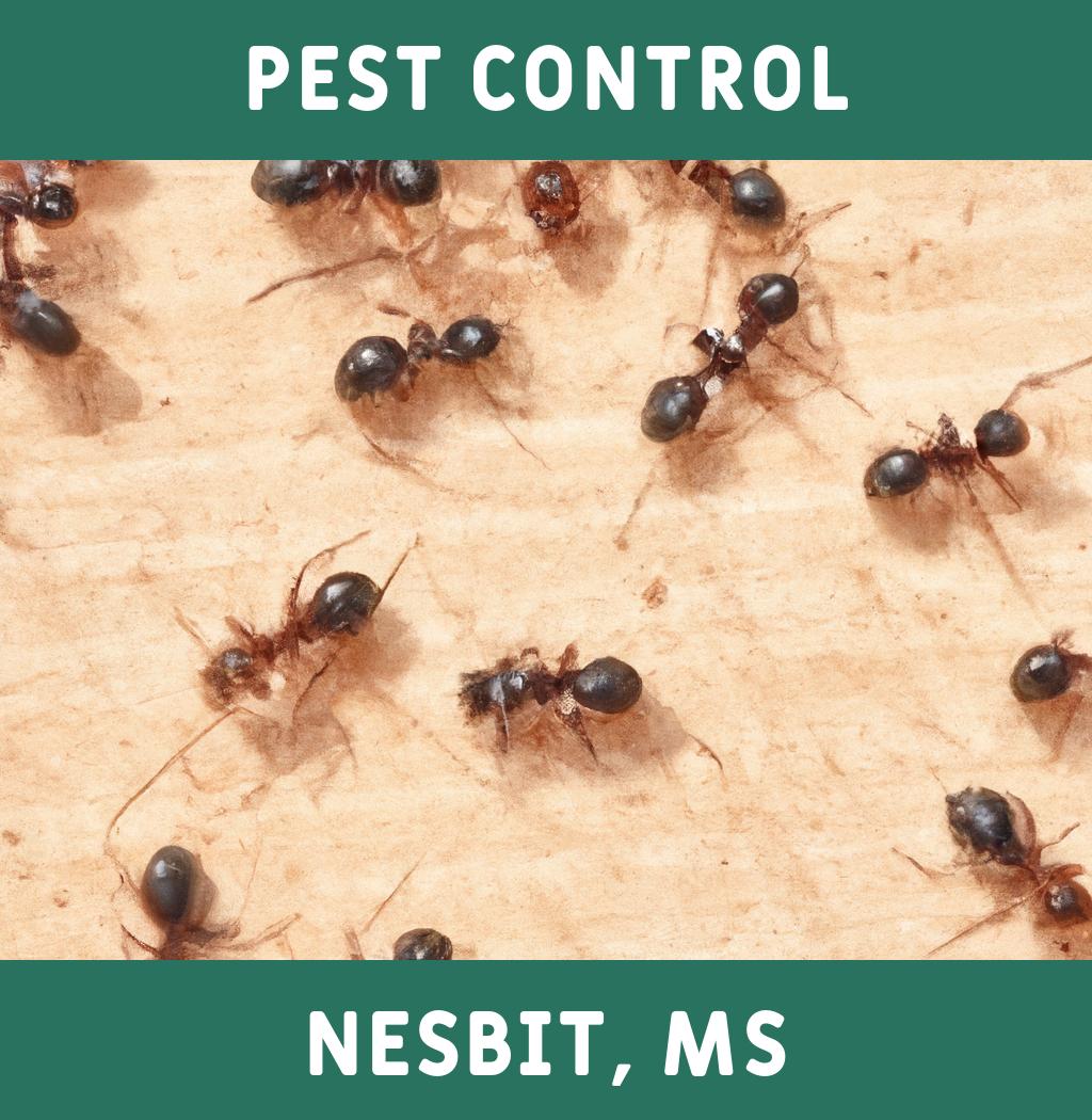 pest control in Nesbit Mississippi