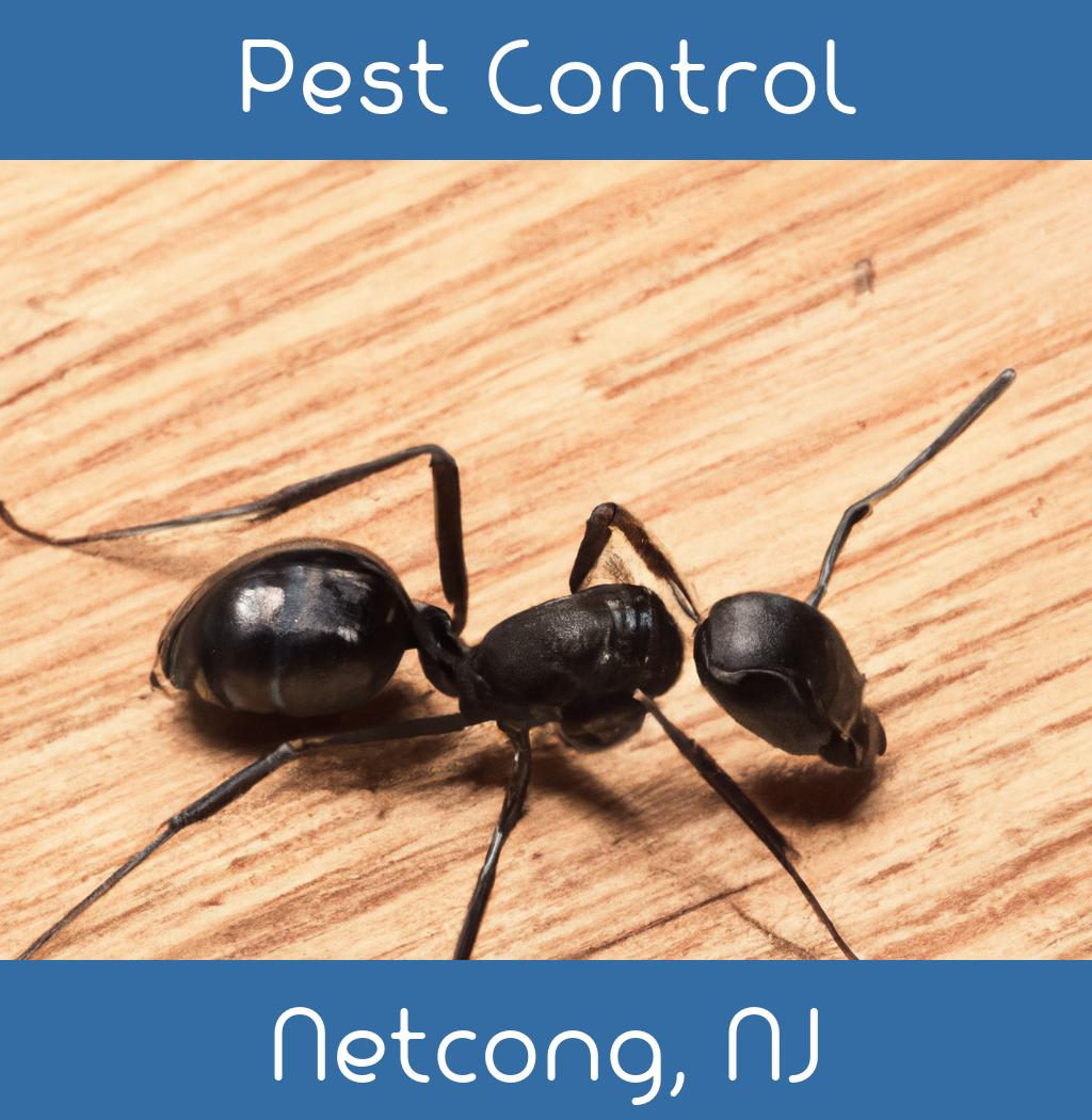 pest control in Netcong New Jersey
