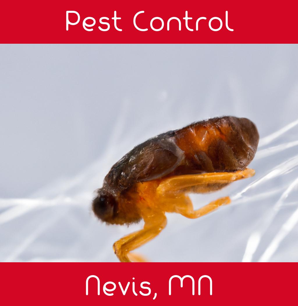 pest control in Nevis Minnesota