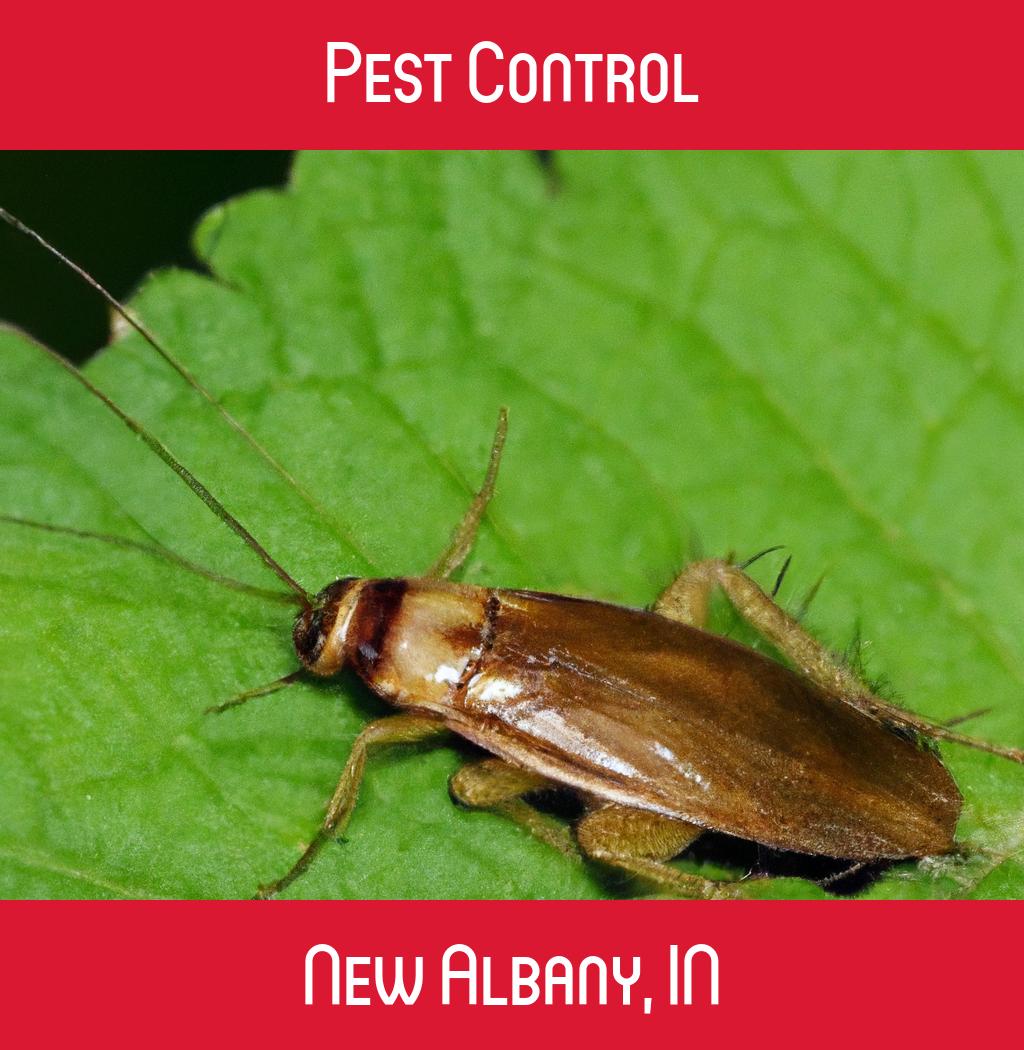pest control in New Albany Indiana