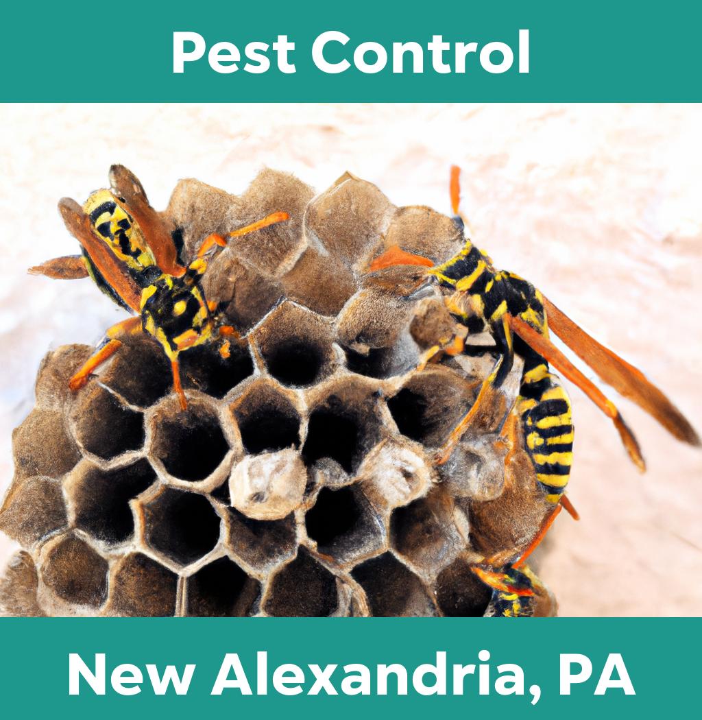 pest control in New Alexandria Pennsylvania