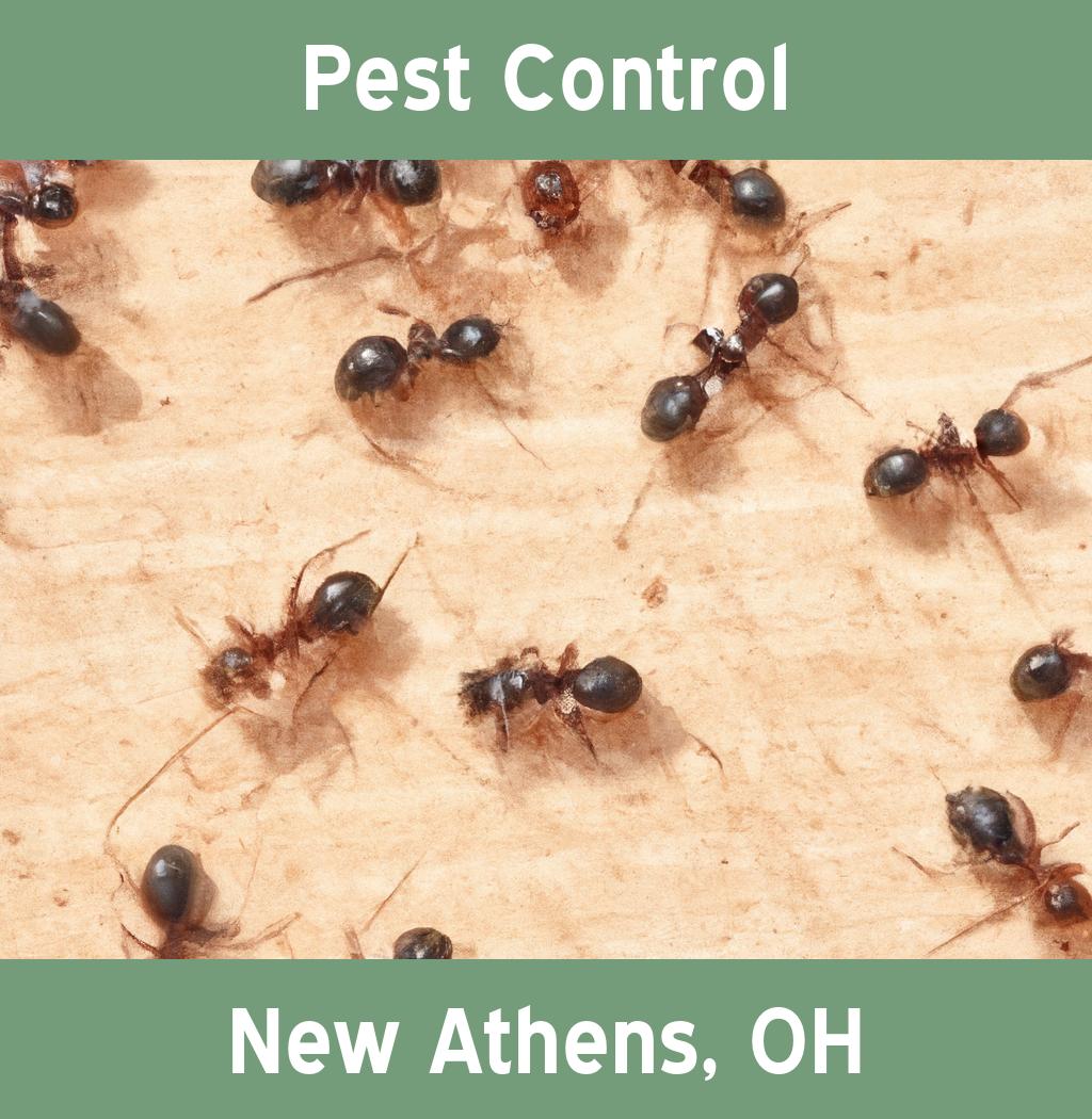 pest control in New Athens Ohio