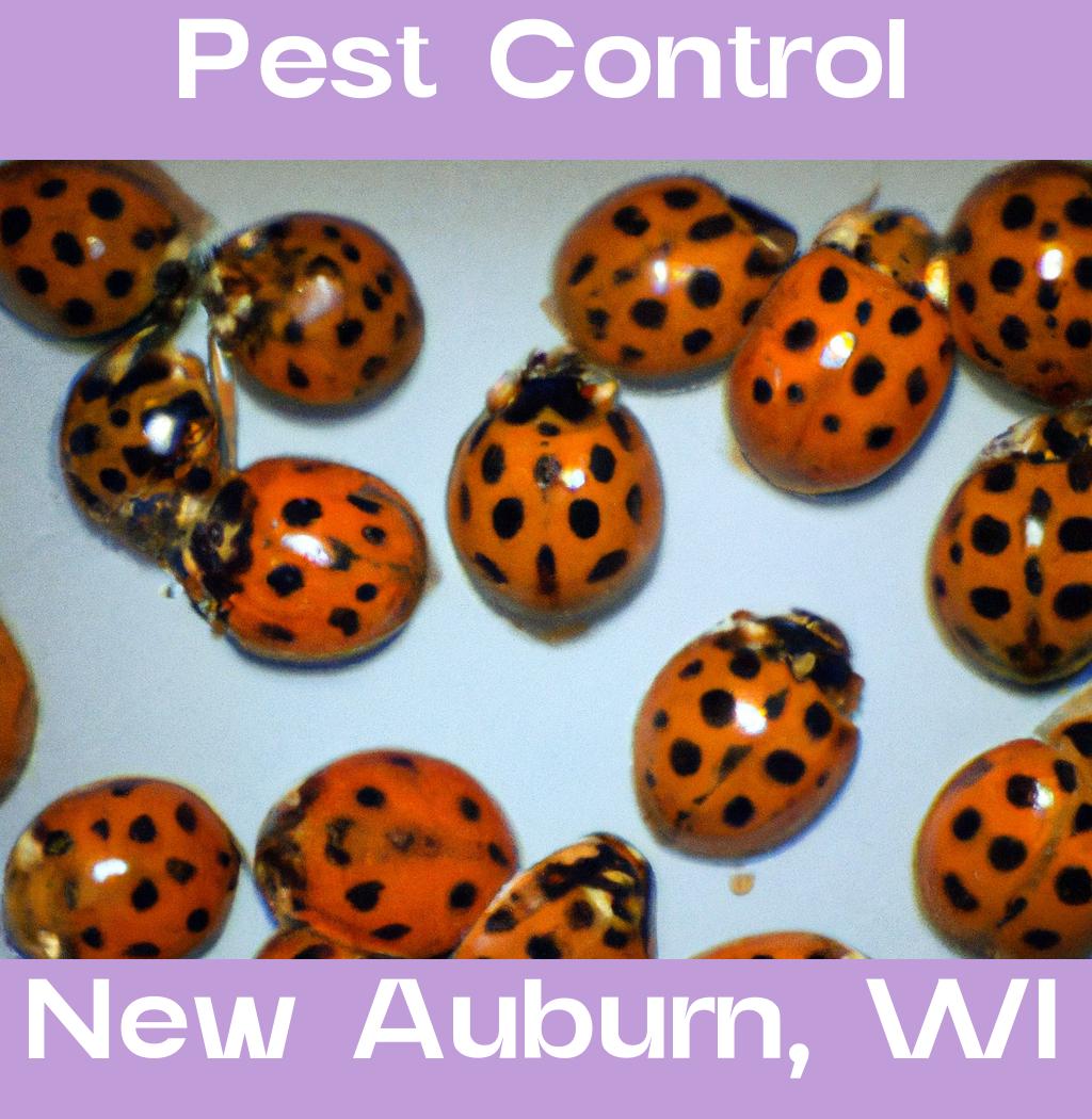 pest control in New Auburn Wisconsin
