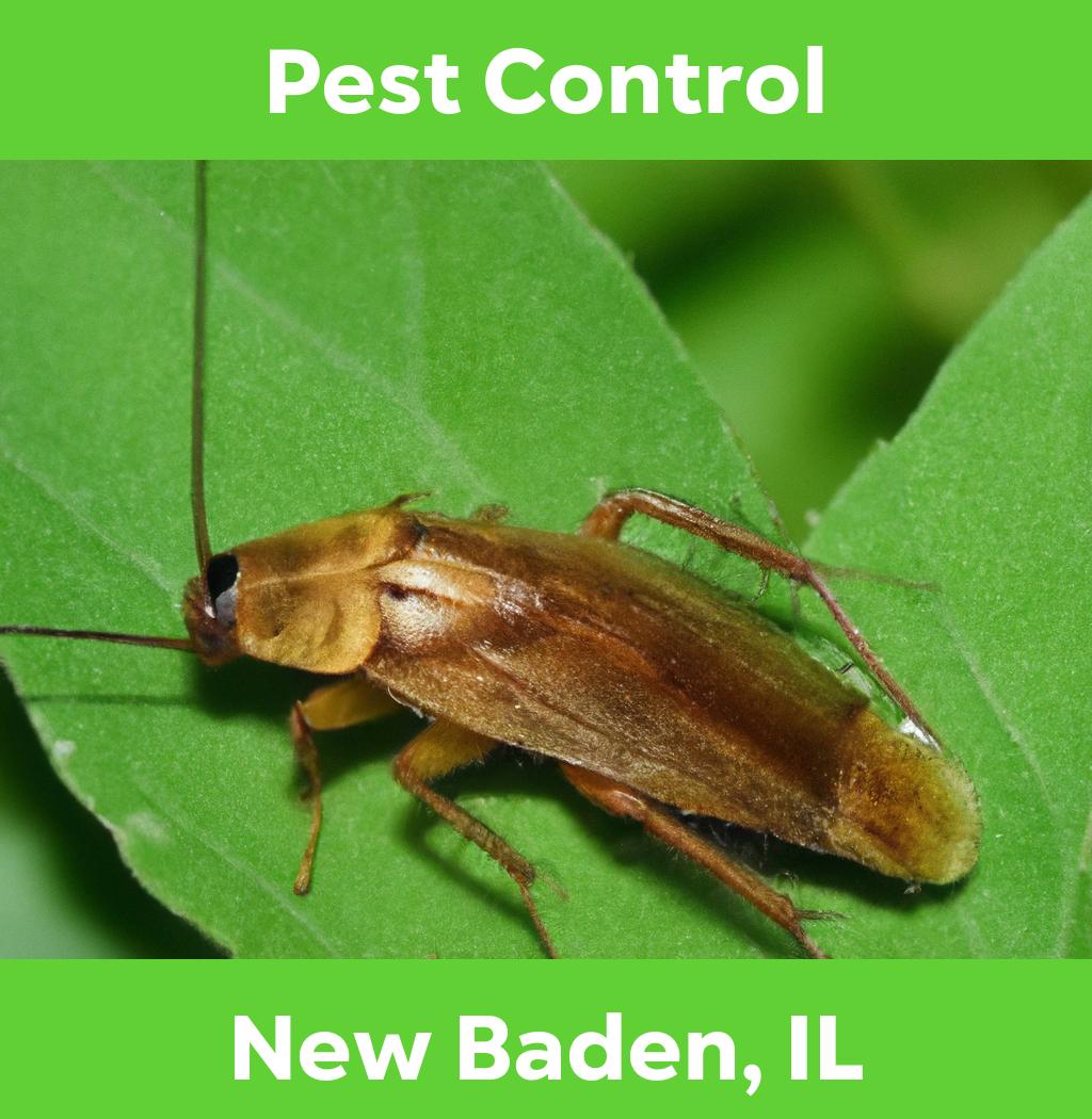 pest control in New Baden Illinois