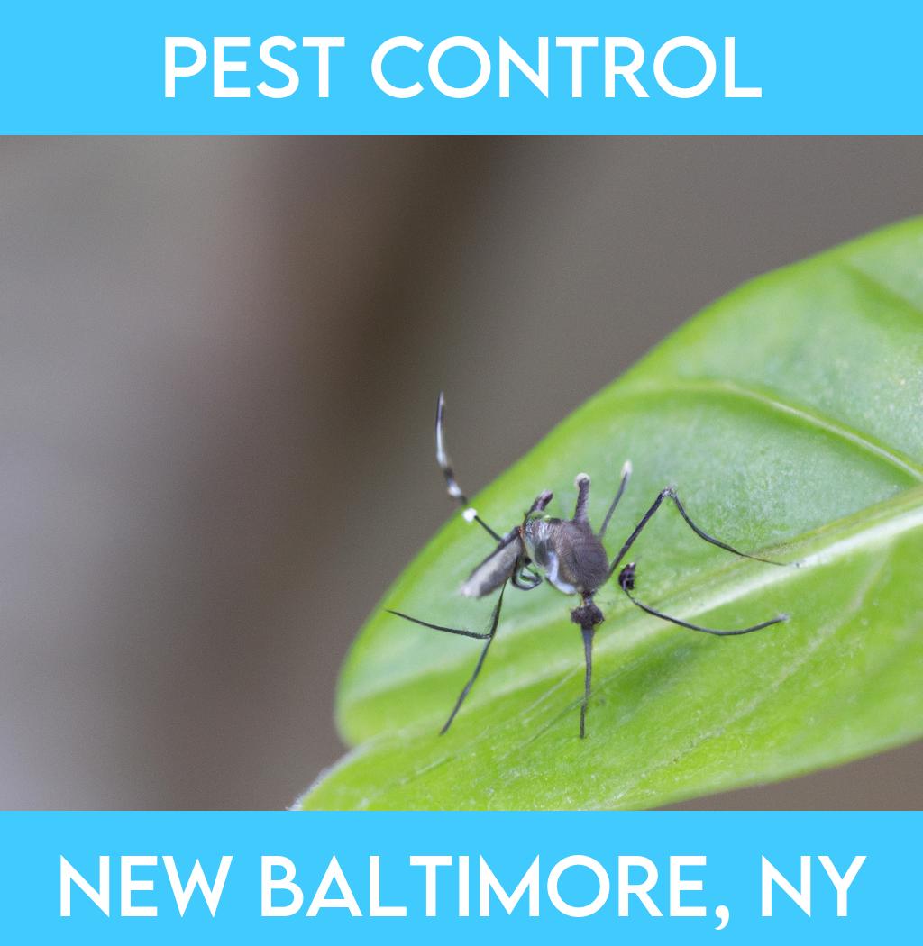 pest control in New Baltimore New York