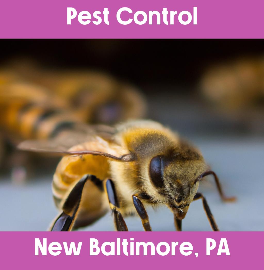 pest control in New Baltimore Pennsylvania