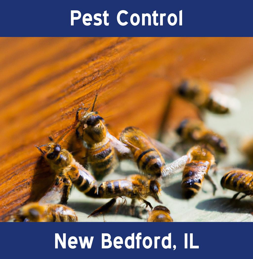 pest control in New Bedford Illinois