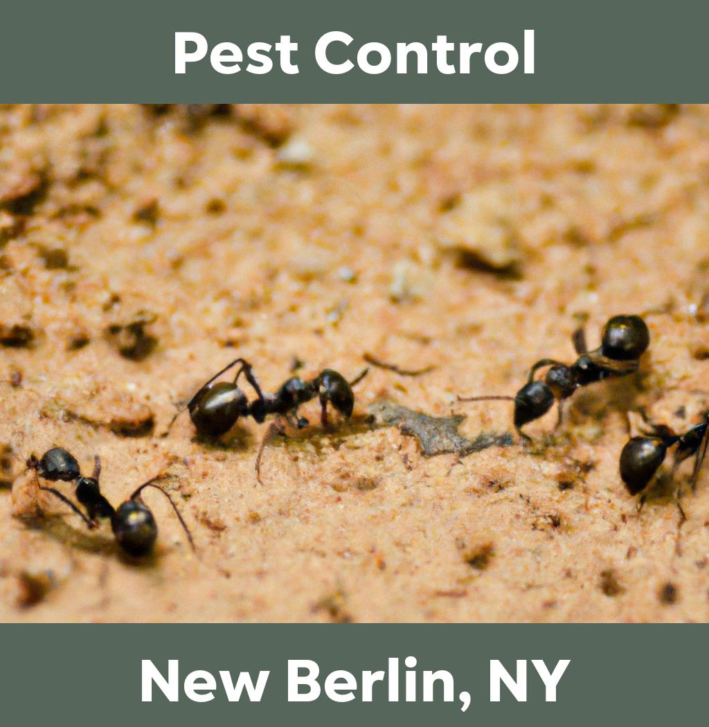 pest control in New Berlin New York