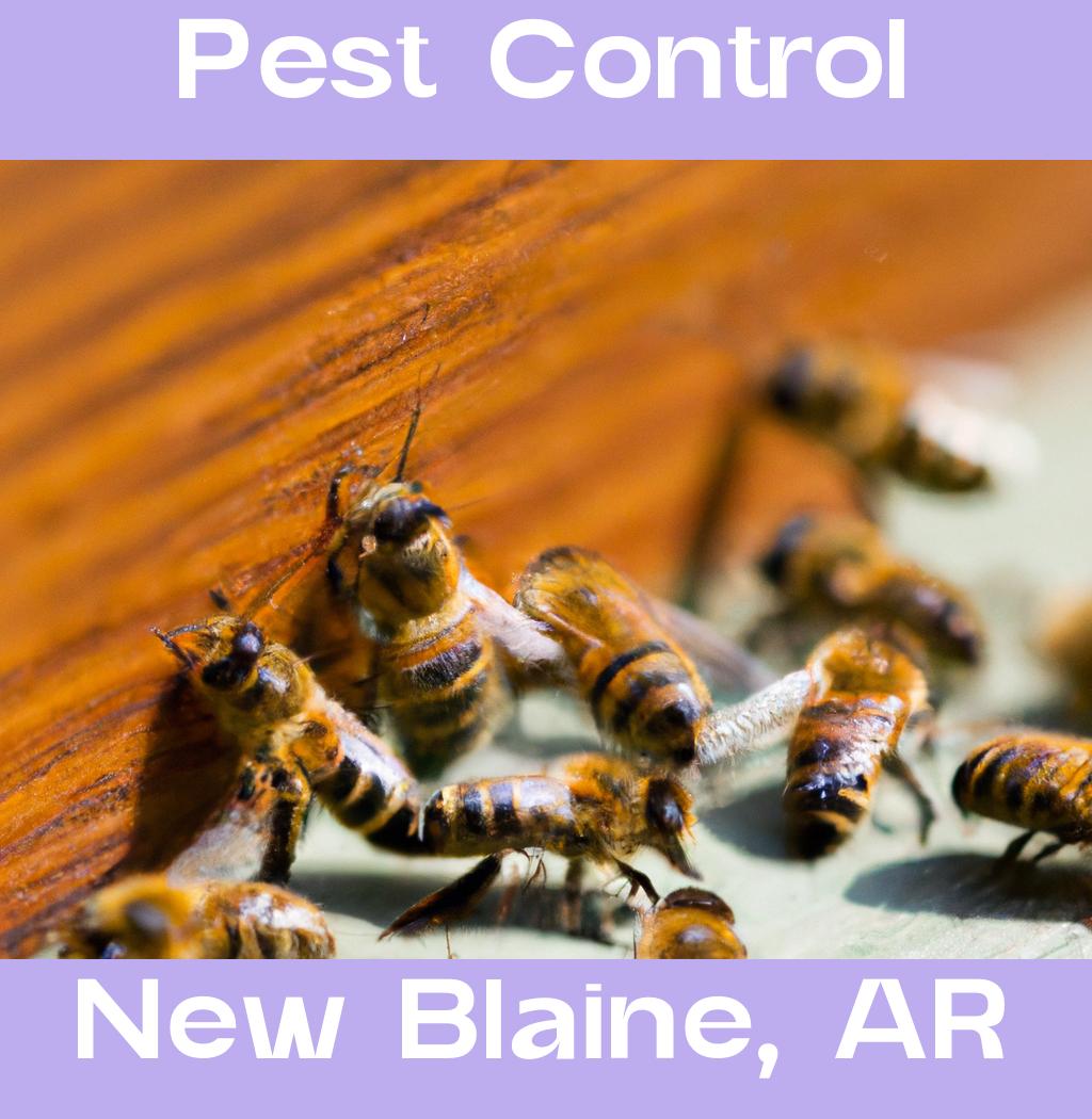 pest control in New Blaine Arkansas