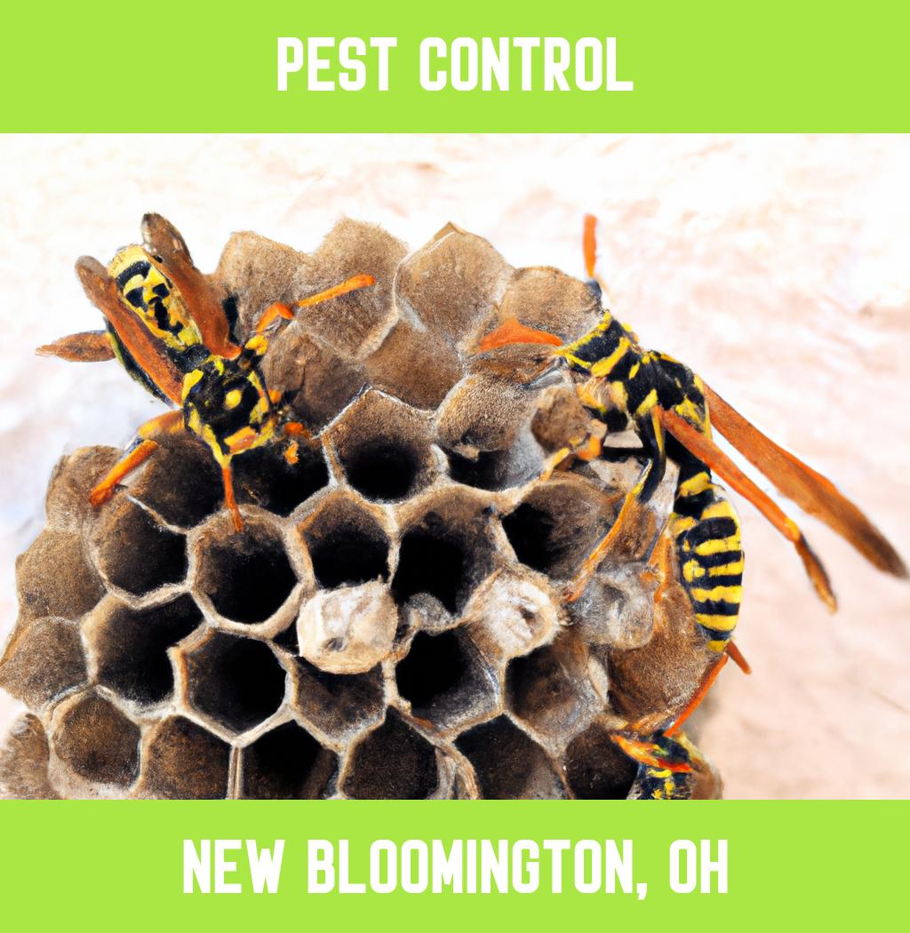 pest control in New Bloomington Ohio