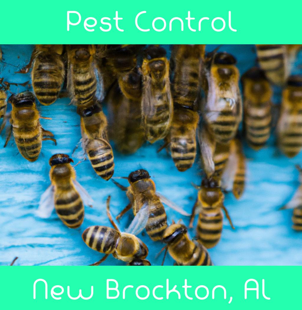 pest control in New Brockton Alabama