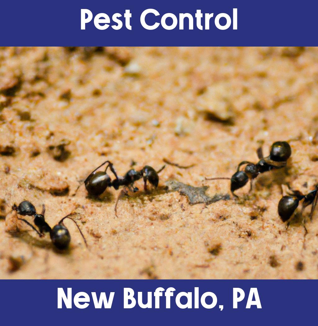 pest control in New Buffalo Pennsylvania