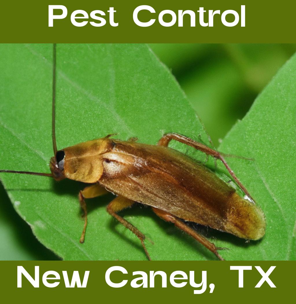 pest control in New Caney Texas