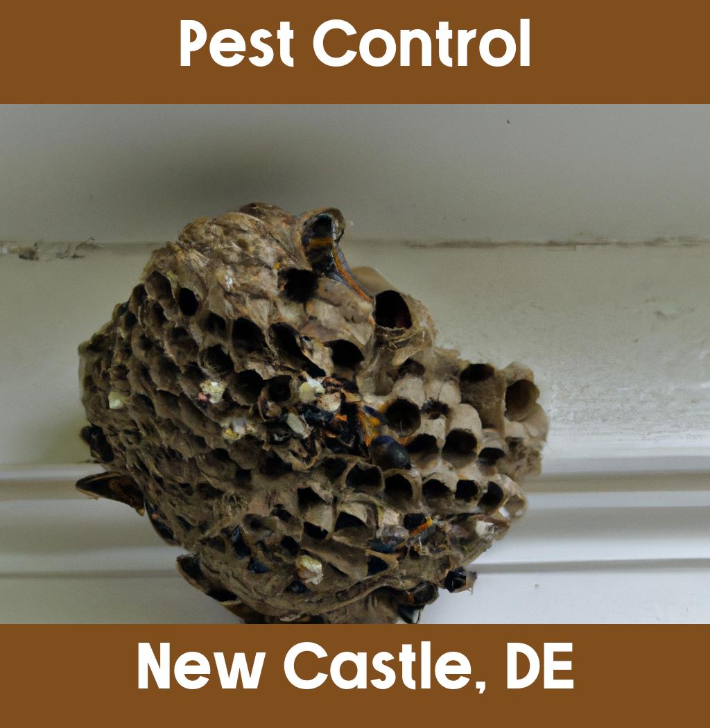 pest control in New Castle Delaware