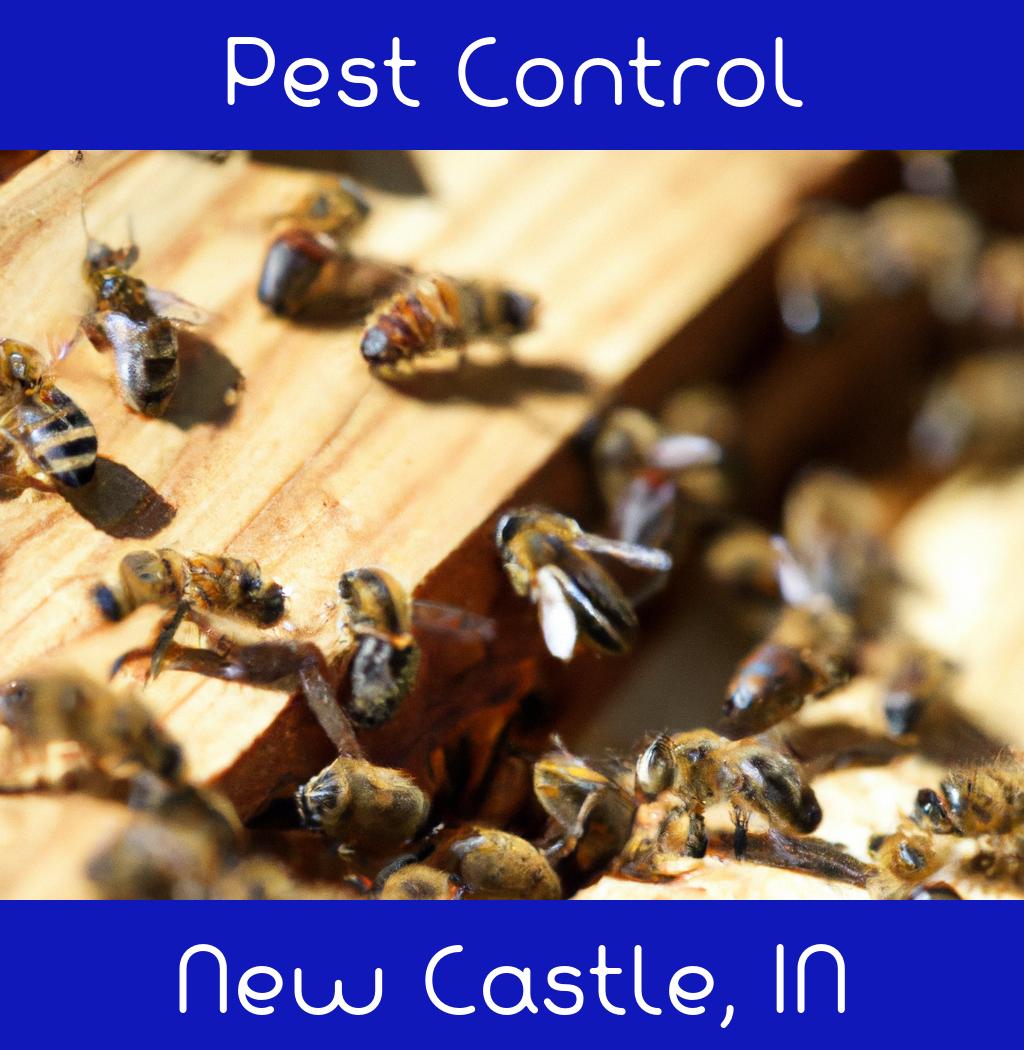 pest control in New Castle Indiana