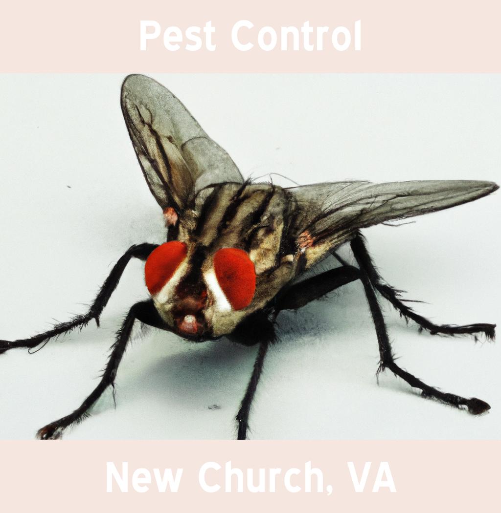 pest control in New Church Virginia