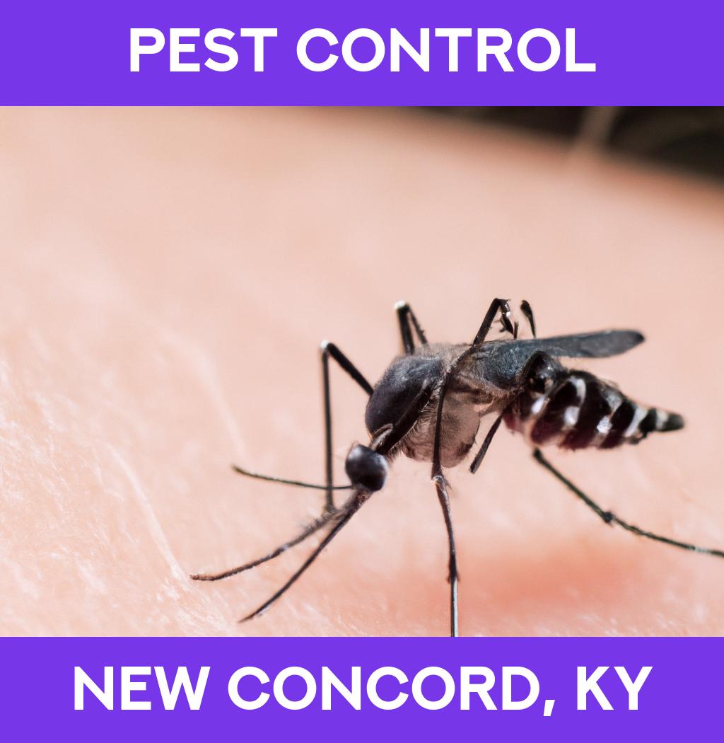 pest control in New Concord Kentucky