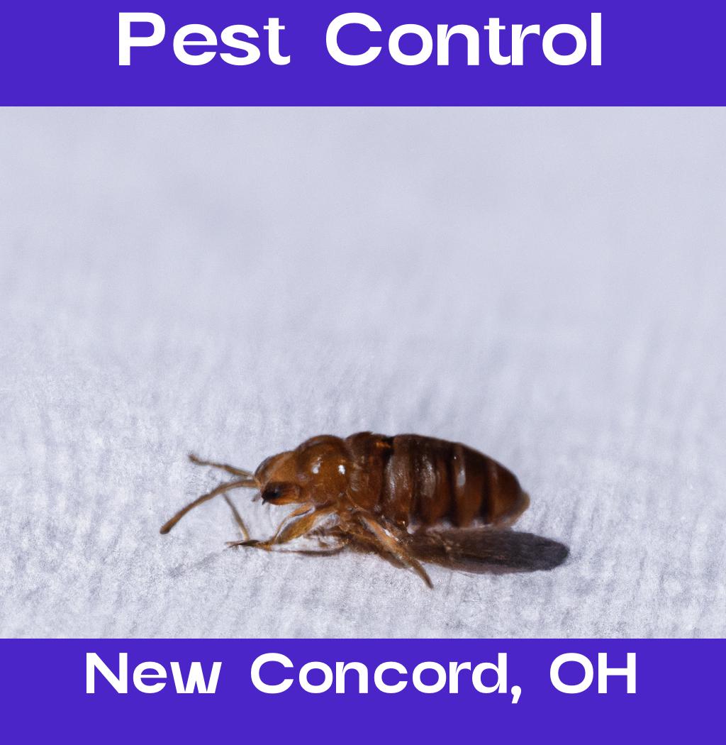 pest control in New Concord Ohio