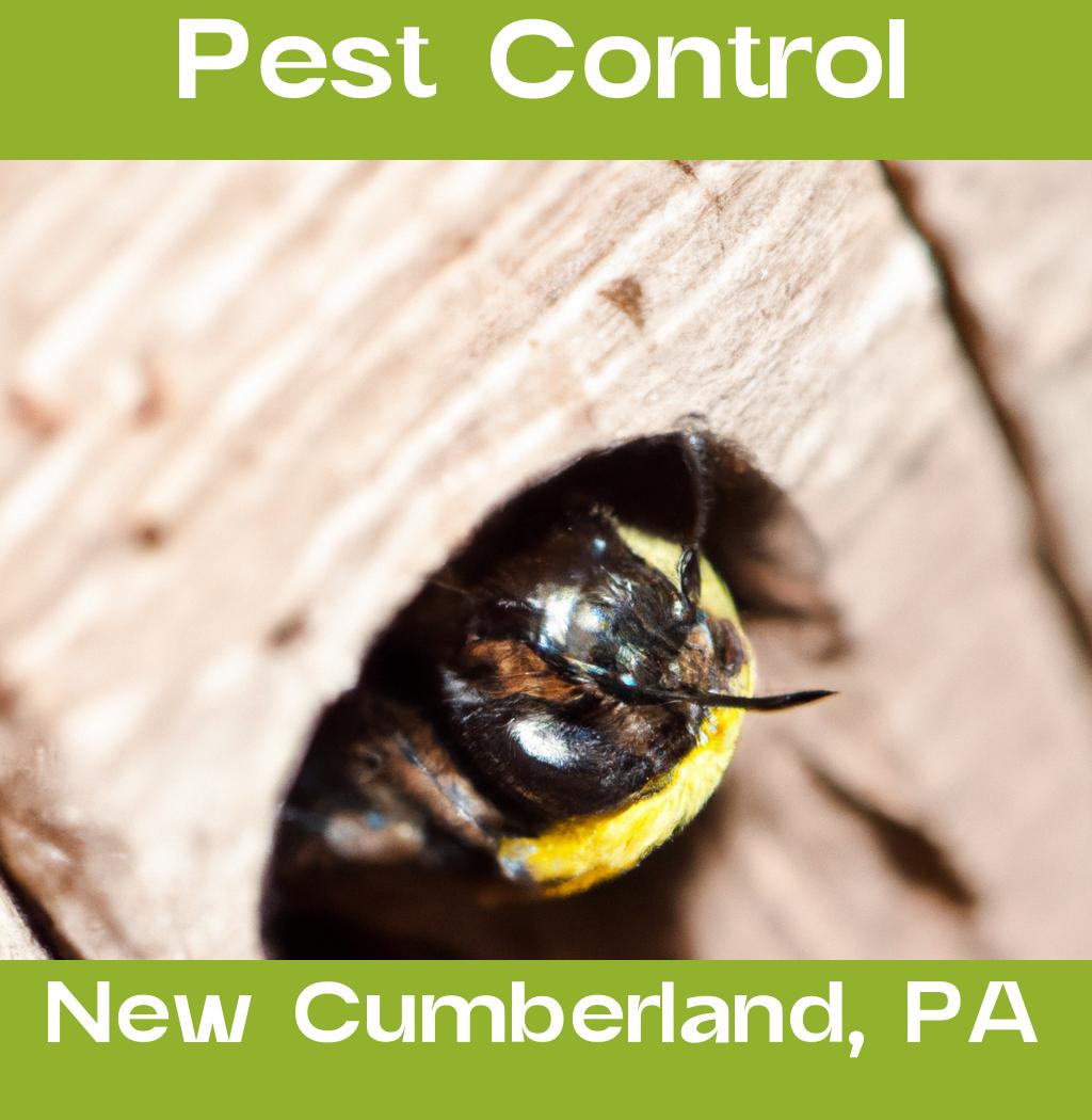 pest control in New Cumberland Pennsylvania