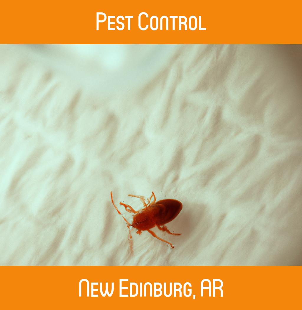 pest control in New Edinburg Arkansas