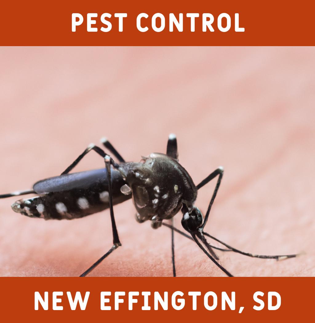 pest control in New Effington South Dakota