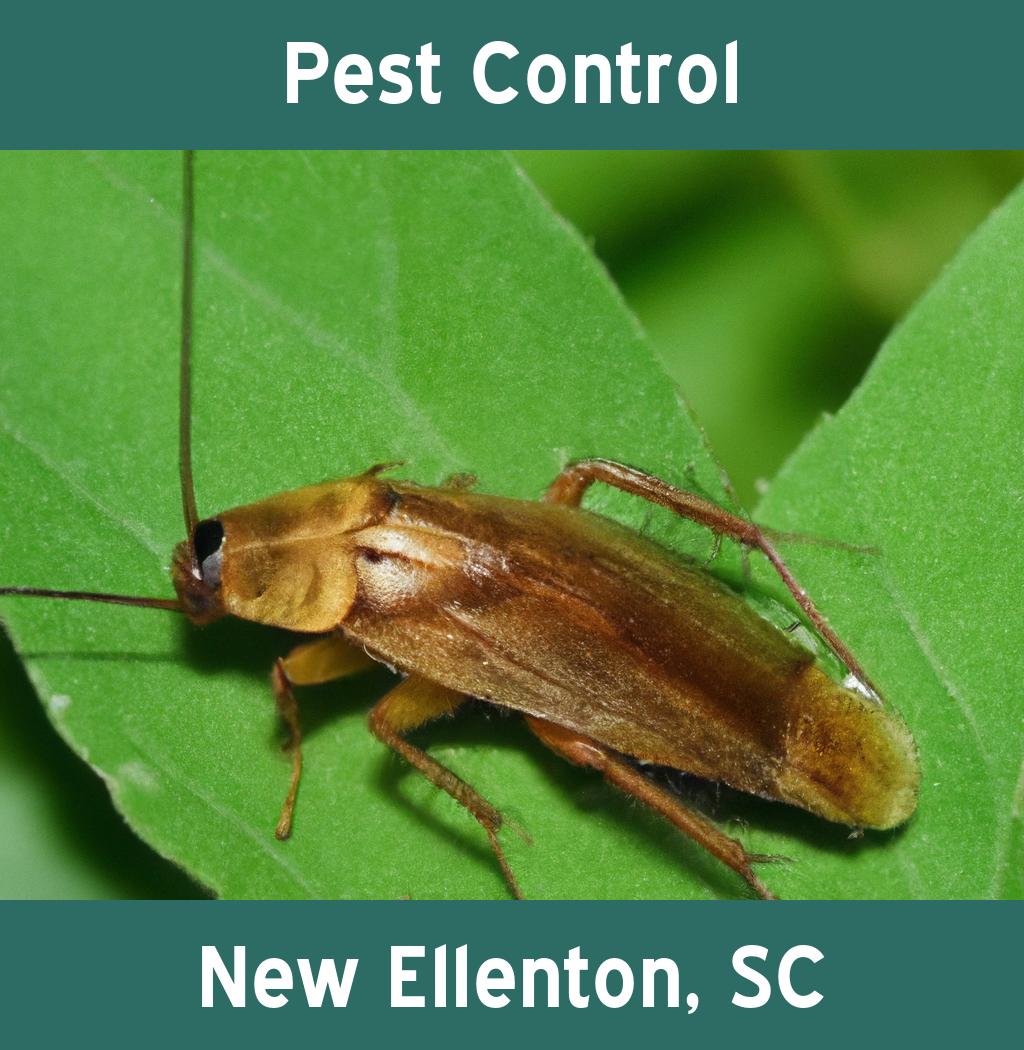 pest control in New Ellenton South Carolina